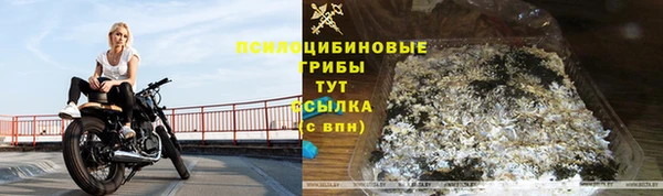 mdpv Алексин