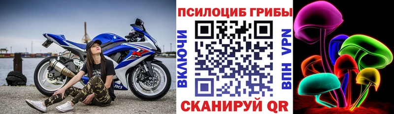 как найти закладки  Волоколамск  Галлюциногенные грибы Cubensis 