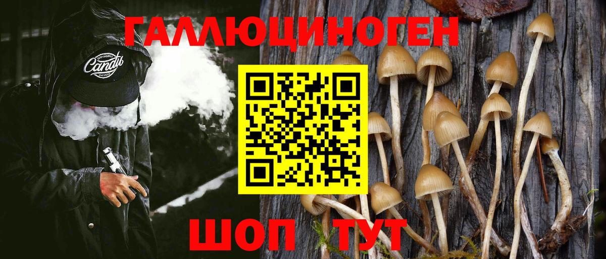Псилоцибиновые грибы Magic Shrooms Волоколамск