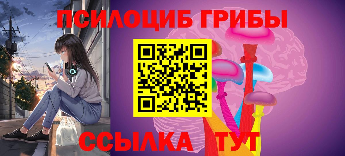 Волоколамск  Псилоцибиновые грибы MAGIC MUSHROOMS  как найти   Вход с VPN 